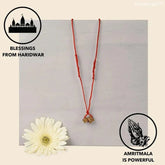 AMRITMALA PURE HERB